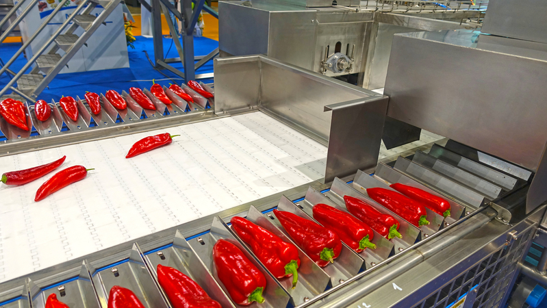 Industrial,Vegetable,Processing,Machine.